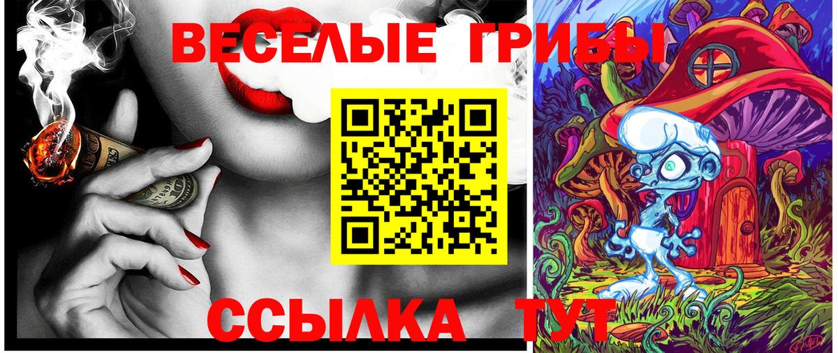 Псилоцибиновые грибы ЛСД Салехард