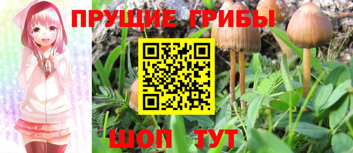 Экстази  Alpha-PVP СК кристаллы  Мефедрон   Салехард  Кокаин  ГАШИШ  Вход с VPN 