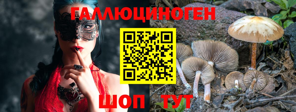 Галлюциногенные грибы GOLDEN TEACHER  Псилоцибиновые грибы мицелий  Салехард  Вход с VPN 